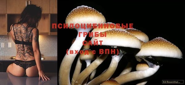 винт Вяземский