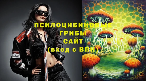 винт Вяземский