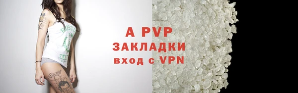 винт Вяземский