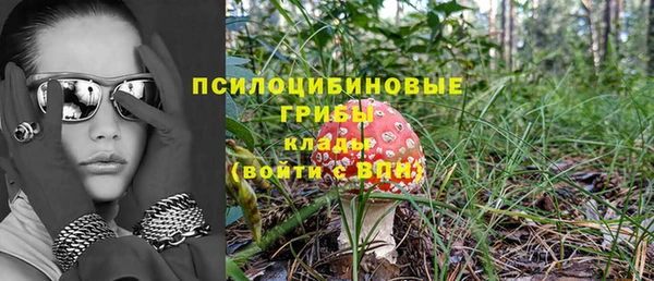 винт Вяземский