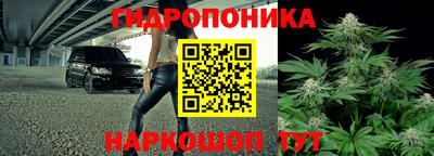 кокс Гай