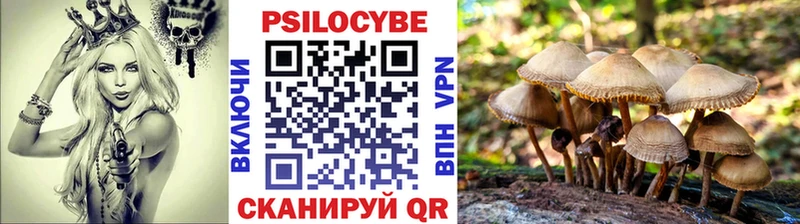Псилоцибиновые грибы Magic Shrooms  магазин    Елец 