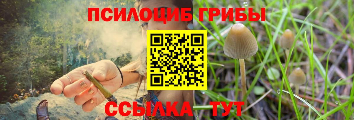 Елец  Галлюциногенные грибы GOLDEN TEACHER  Вход с VPN 